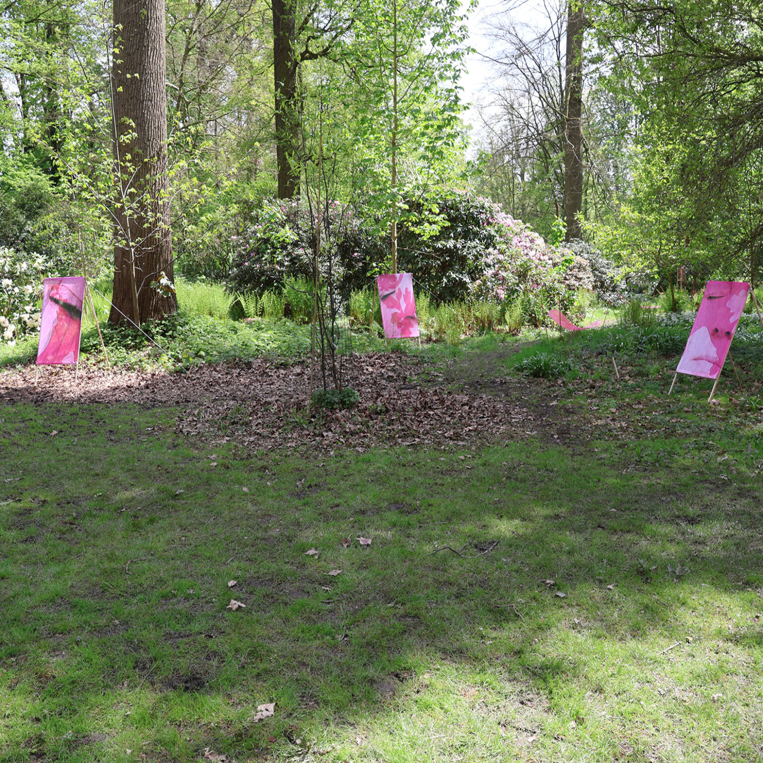 expositie plantentuin meise