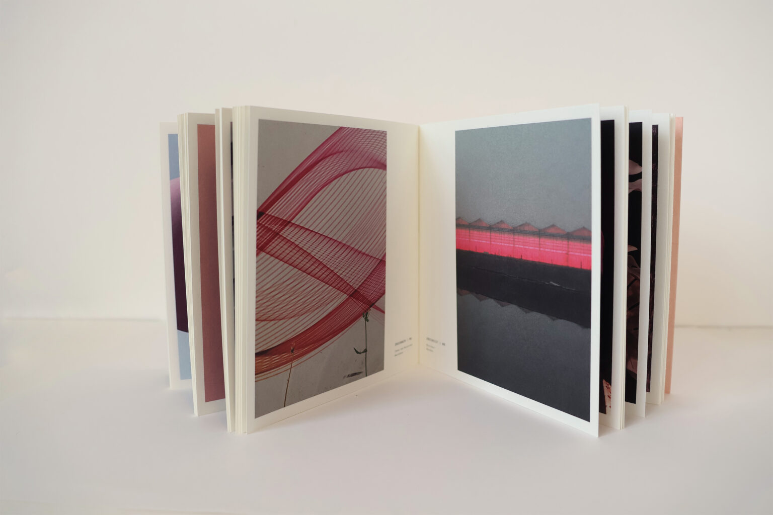 quelques choses roses pagina