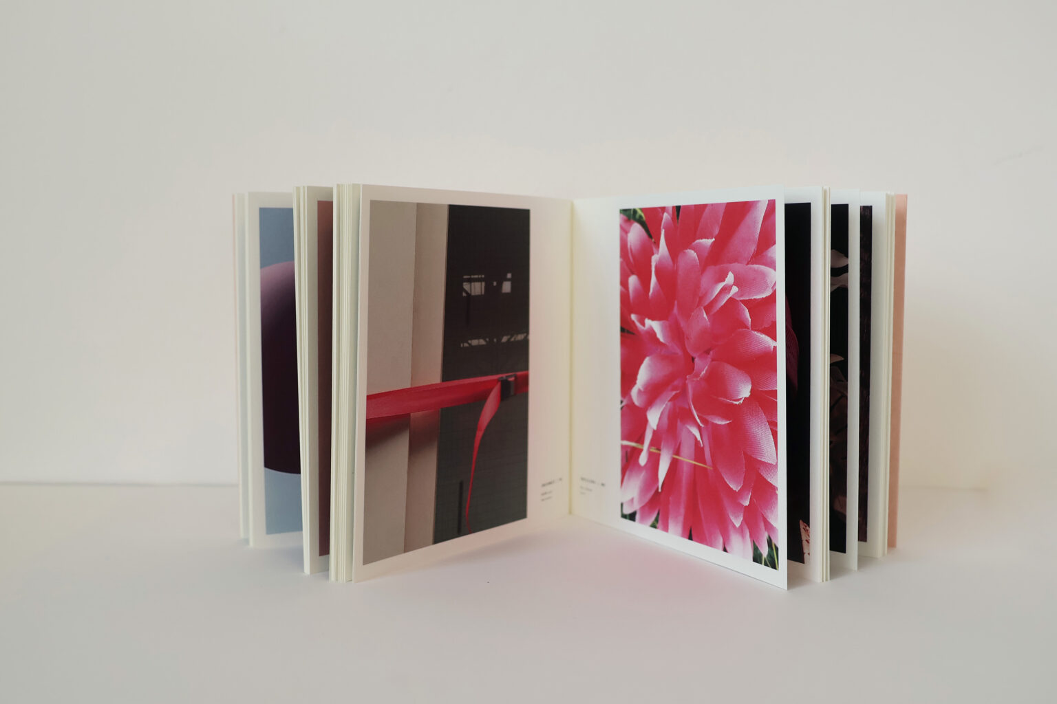 quelques choses roses pagina 6