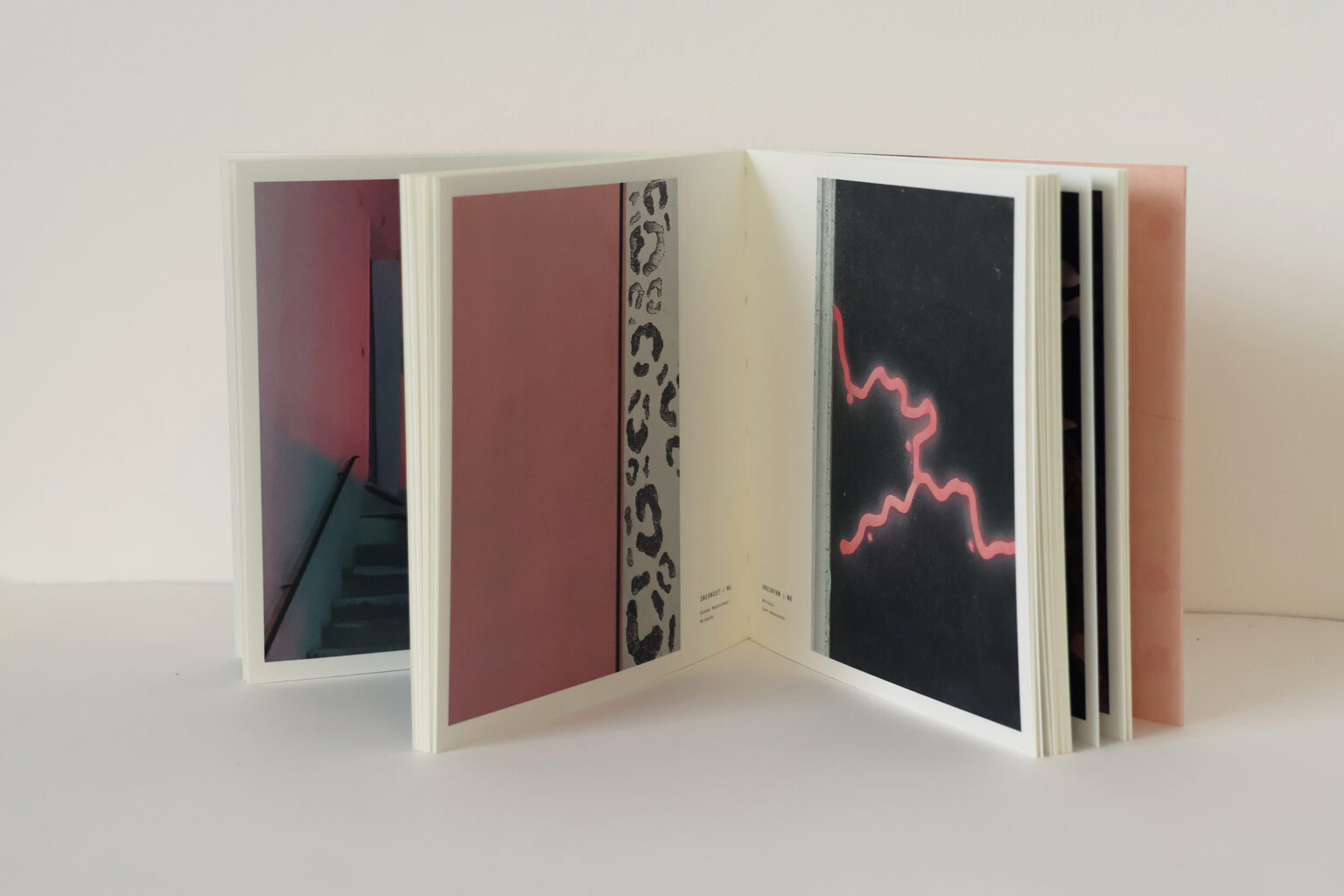 quelques choses roses pagina 7