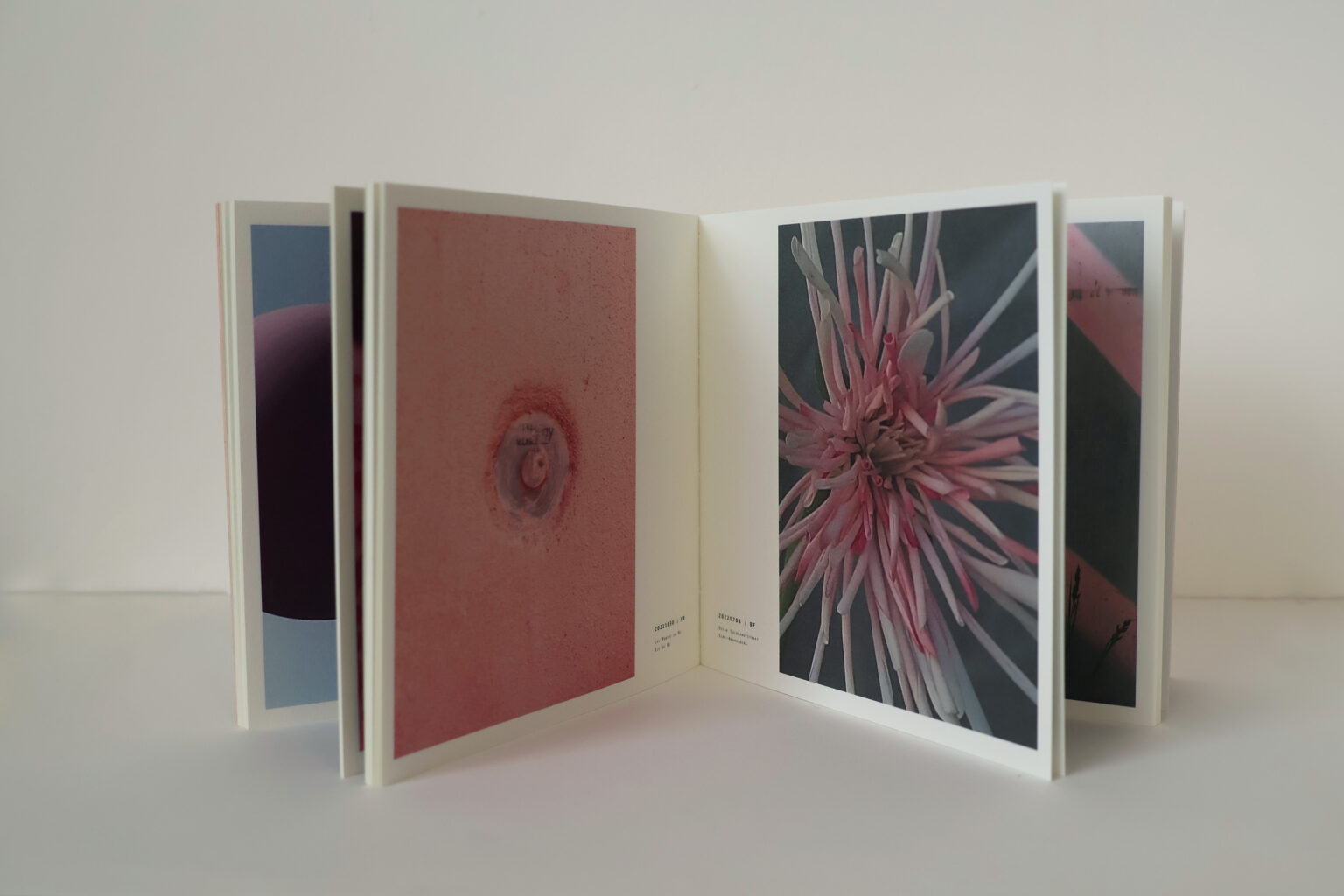 quelques choses roses pagina 8